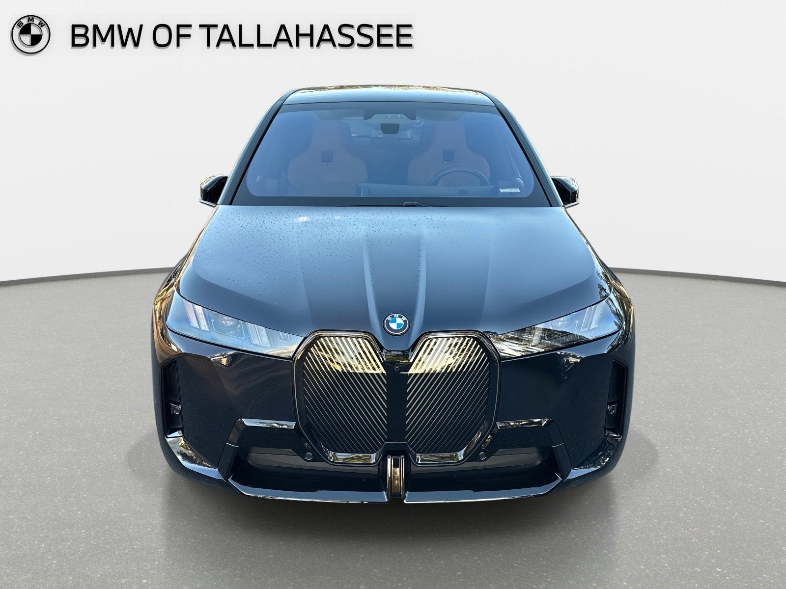 2026 BMW iX xDrive60