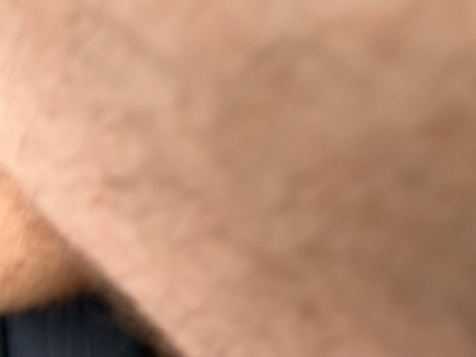 2026 Volvo XC40 Plus